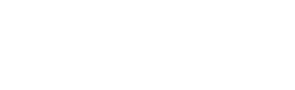 molina logo (1)
